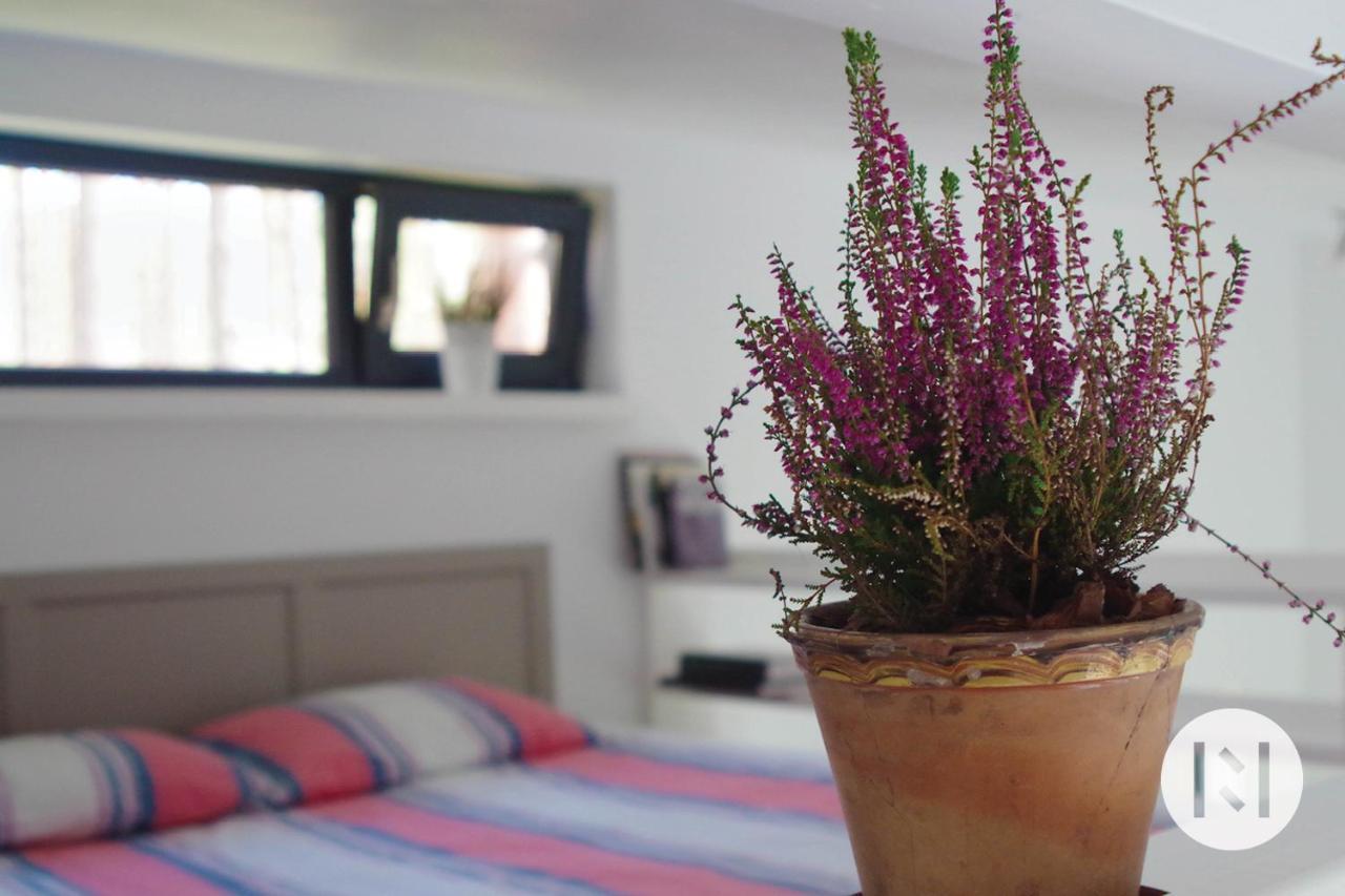 Rabarberi Lv Just 15Min Walk To Seaside Hotel Саулкрасти Екстериор снимка
